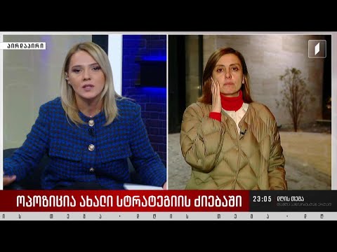 პრაიმერისი თუ ბოიკოტი - ოპოზიცია ახალი სტრატეგიის ძიებაში - ინტერვიუ ხატია დეკანოიძესთან